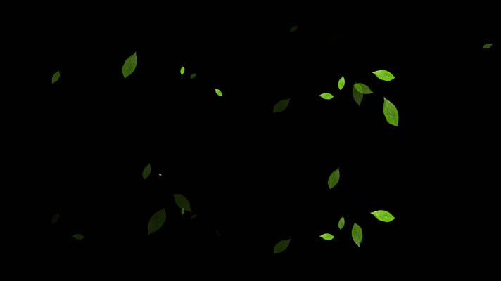 绿色茶叶动态装饰元素视频