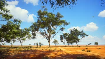 三维动画非洲原野草原荒漠风光