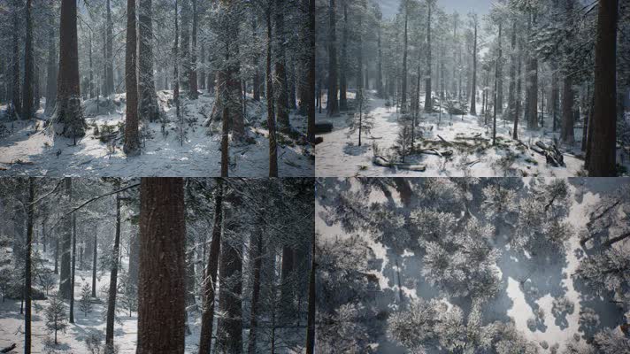 三维动画原始森林冬季林海雪原