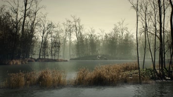 三维动画秋冬阴暗恐怖森林