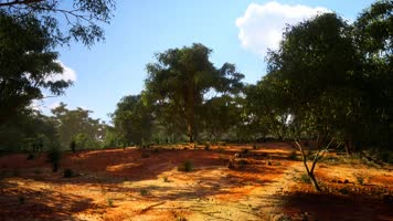 三维动画非洲原野草原荒漠风光