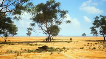 三维动画非洲原野草原荒漠风光