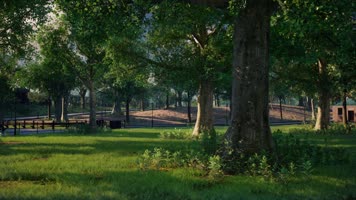 三维动画郊野公园园林风光