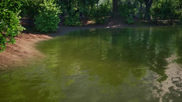 三维动画郊野公园园林风光