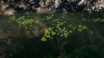 三维动画公园自然山水风光