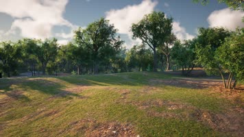 三维动画郊野公园园林风光