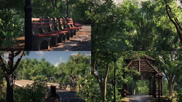 三维动画郊野公园园林风光
