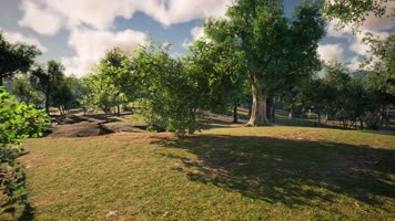 三维动画郊野公园园林风光