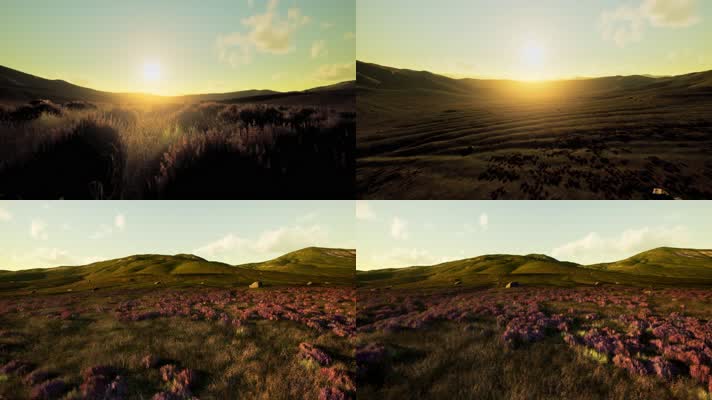三维动画草原落日自然风光