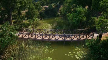 三维动画郊野公园园林风光