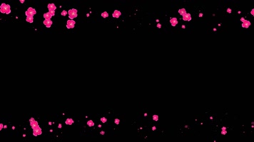 梅花遮罩边框前景装饰视频带通道