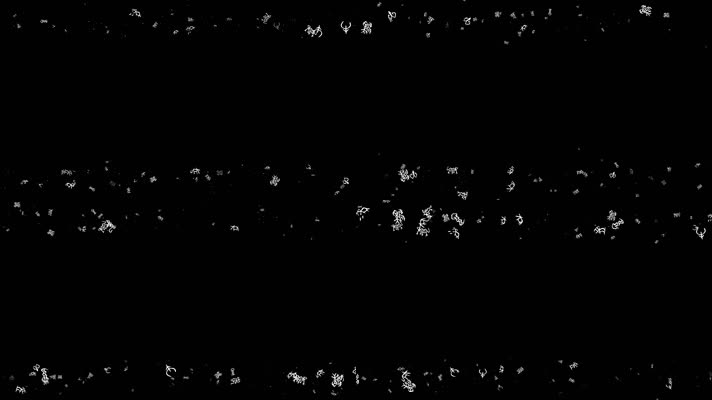 十二生肖甲骨文遮罩边框前景装饰视频带通道