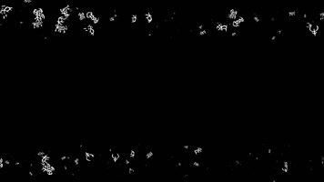 十二生肖甲骨文遮罩边框前景装饰视频带通道