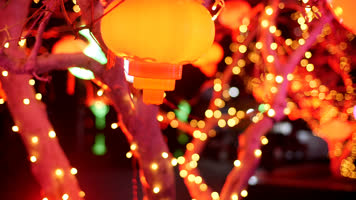 花灯-元宵节看花灯-正月十五赏花灯3