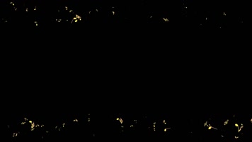 音符遮罩边框前景装饰视频带通道