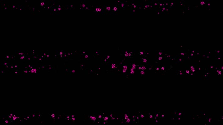 寿字遮罩边框前景装饰视频带通道 