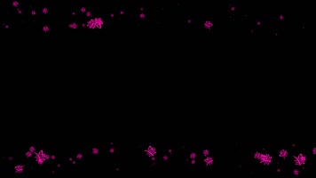 寿字遮罩边框前景装饰视频带通道 