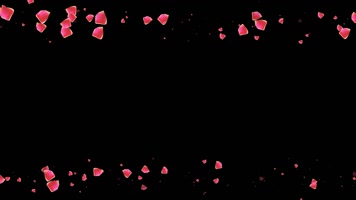 玫瑰花瓣遮罩边框前景装饰视频带通道