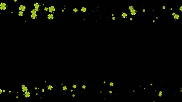 四叶草遮罩边框前景装饰视频带通道