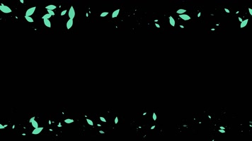 树叶遮罩边框前景装饰视频带通道