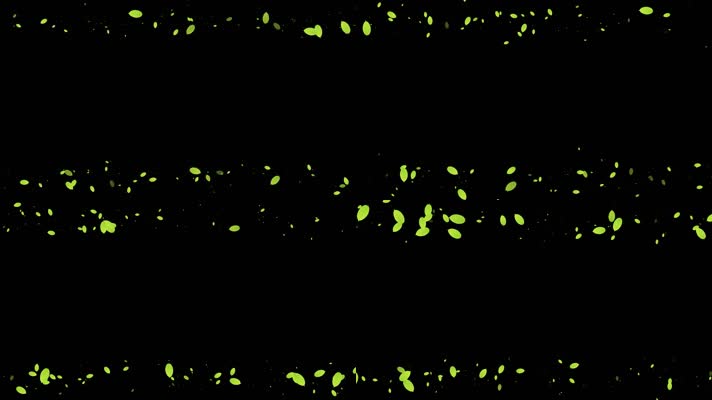 绿叶遮罩边框前景装饰视频带通道