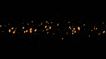 秋叶粒子前景装饰视频素材带通道