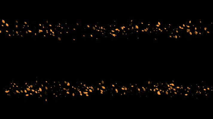 金色秋天树叶闪烁特效视频带通道