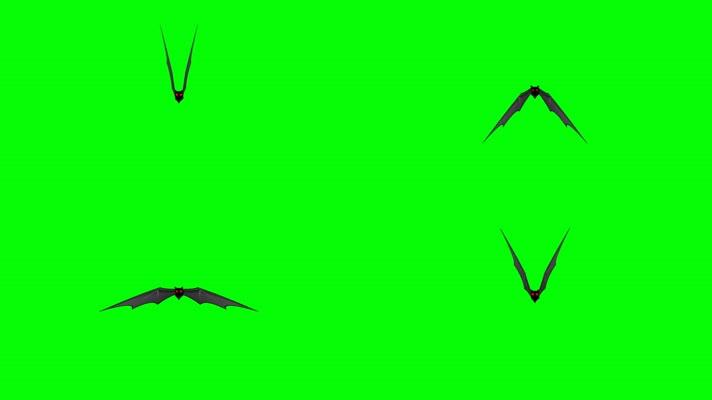 蝙蝠飞向屏幕循环带通道