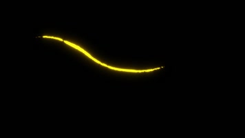 二维卡通笔刷流动效果