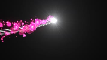 流光梅花运动视频带通道