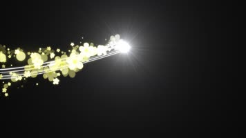 流光油菜花运动视频带通道