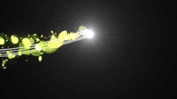 流光绿叶运动视频带通道