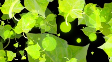 番薯叶粒子快速转场