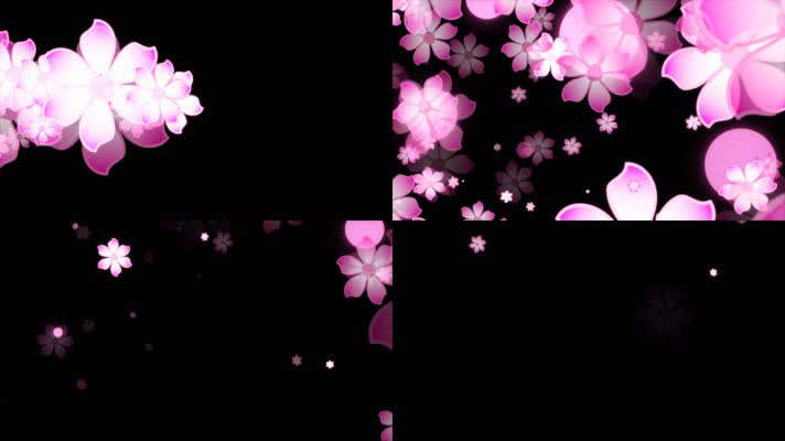 花朵粒子快速转场