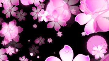 花朵粒子快速转场