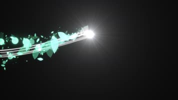 流光树叶运动视频带通道