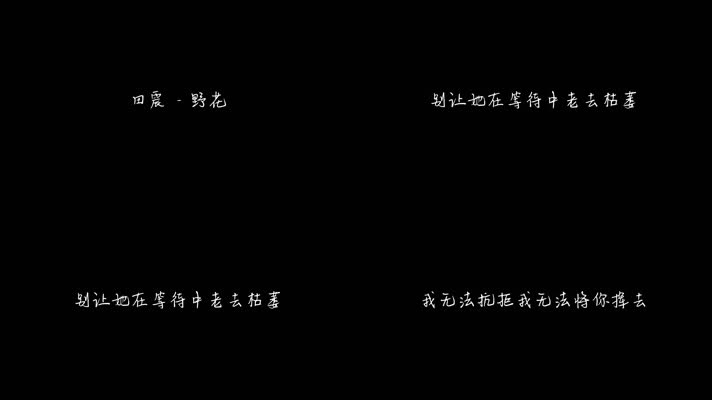 田震 - 野花（1080P）