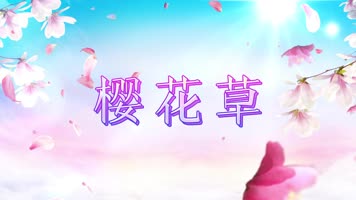 樱花草歌曲配乐舞台舞蹈背景视频