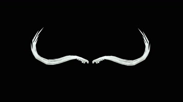 天使翅膀循环02（alpha)