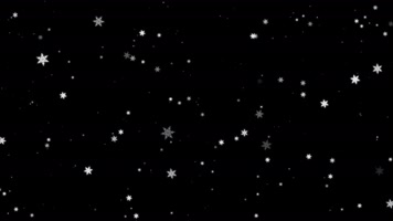 冬季浪漫雪花飘落视频素材