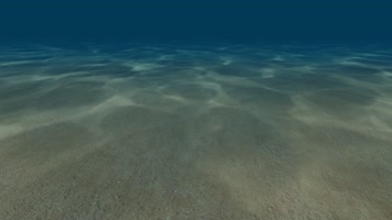 海底素材 蓝色海洋 大海 海底世界素材