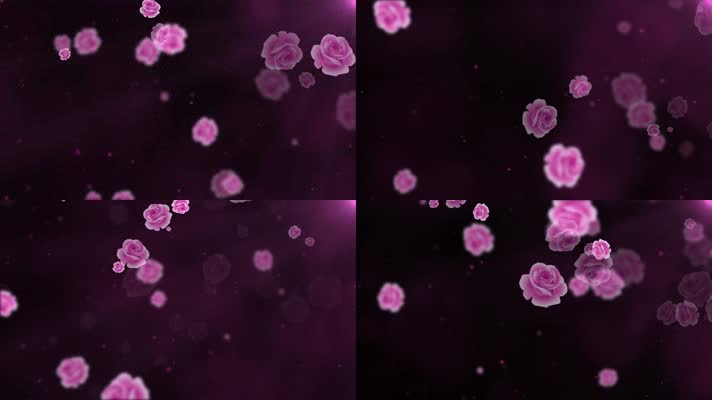 紫色康乃馨花瓣飘飞LED唯美背景演绎视频