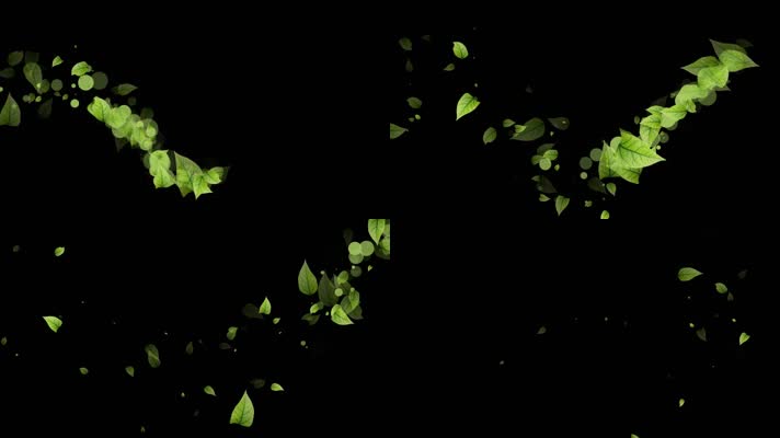 健康环保树叶粒子曲线运动视频-alpha