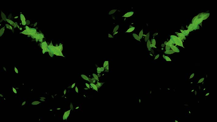 春季绿叶粒子曲线运动视频-alpha通道