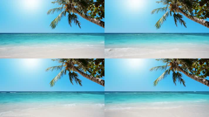 海滩棕榈树海洋热带气候加勒比海