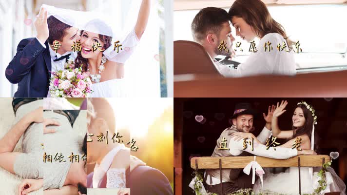 快闪情人节爱情婚礼开场片头展示PR模版