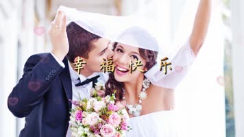 快闪情人节爱情婚礼开场片头展示PR模版