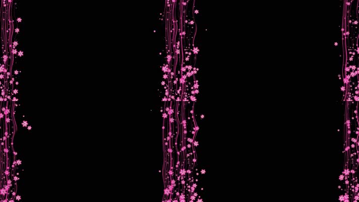 花朵粒子边框动画带通道