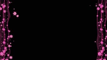 花朵粒子边框动画带通道