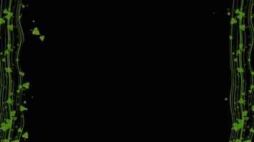 番薯叶粒子边框动画带通道